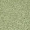 Kid Crossing Residential Carpet by Shaw Floors in the color Limeade. Sample of greens carpet pattern and texture.