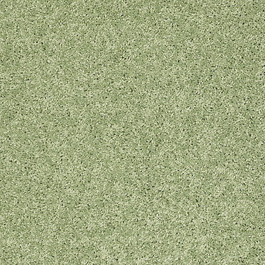 Kid Crossing Residential Carpet by Shaw Floors in the color Limeade. Sample of greens carpet pattern and texture.