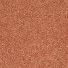 Kid Crossing Residential Carpet by Shaw Floors in the color Tangerine Twist. Sample of oranges carpet pattern and texture.