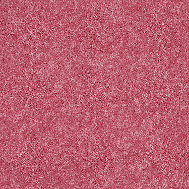 Kid Crossing Residential Carpet by Shaw Floors in the color Glamour Girl. Sample of reds carpet pattern and texture.