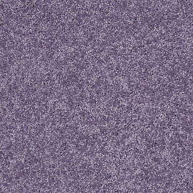 Kid Crossing Residential Carpet by Shaw Floors in the color Lolli Pop. Sample of violets carpet pattern and texture.