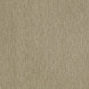 Speed Of Light Residential Carpet by Shaw Floors in the color Frost. Sample of beiges carpet pattern and texture.