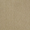 Speed Of Light Residential Carpet by Shaw Floors in the color Field Stone. Sample of beiges carpet pattern and texture.