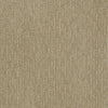 Speed Of Light Residential Carpet by Shaw Floors in the color Wool Skein. Sample of beiges carpet pattern and texture.