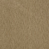 Speed Of Light Residential Carpet by Shaw Floors in the color Natural Wood. Sample of browns carpet pattern and texture.