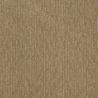 Speed Of Light Residential Carpet by Shaw Floors in the color Natural Wood. Sample of browns carpet pattern and texture.