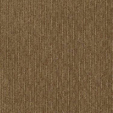 Speed Of Light Residential Carpet by Shaw Floors in the color Leather Bound. Sample of browns carpet pattern and texture.