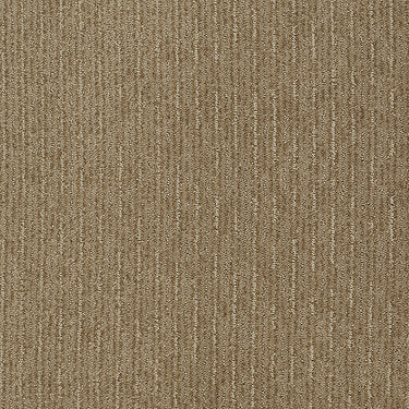 Speed Of Light Residential Carpet by Shaw Floors in the color Mushroom. Sample of browns carpet pattern and texture.