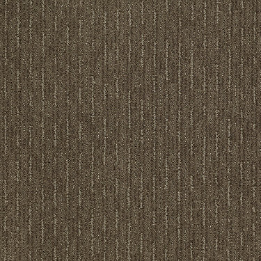 Speed Of Light Residential Carpet by Shaw Floors in the color Townhouse. Sample of browns carpet pattern and texture.