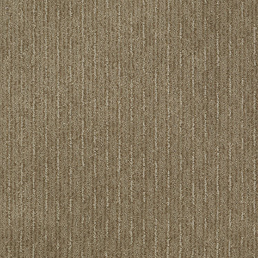 Speed Of Light Residential Carpet by Shaw Floors in the color Prairie. Sample of browns carpet pattern and texture.