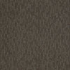 Speed Of Light Residential Carpet by Shaw Floors in the color Graphite. Sample of browns carpet pattern and texture.