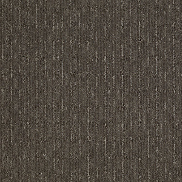 Speed Of Light Residential Carpet by Shaw Floors in the color Graphite. Sample of browns carpet pattern and texture.