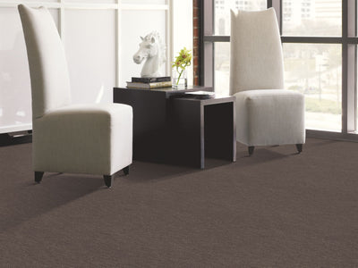 Speed Of Light Residential Carpet by Shaw Floors in the color Graphite. Image of browns carpet in a room.