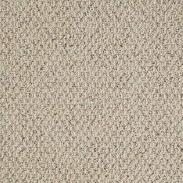 In A Flash Residential Carpet by Shaw Floors in the color Sunrise. Sample of beiges carpet pattern and texture.