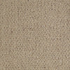 In A Flash Residential Carpet by Shaw Floors in the color Canyon Cove. Sample of browns carpet pattern and texture.