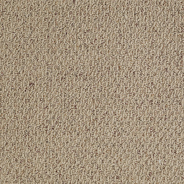 In A Flash Residential Carpet by Shaw Floors in the color Canyon Cove. Sample of browns carpet pattern and texture.