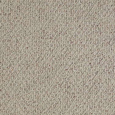 In A Flash Residential Carpet by Shaw Floors in the color Fawn Brindle. Sample of browns carpet pattern and texture.