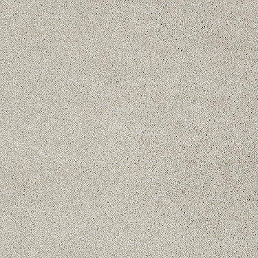 Invitation Only Ii Residential Carpet by Shaw Floors in the color Biscuit. Sample of beiges carpet pattern and texture.