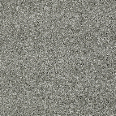 Invitation Only Ii Residential Carpet by Shaw Floors in the color Silver Smoke. Sample of grays carpet pattern and texture.