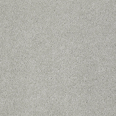 Invitation Only Ii Residential Carpet by Shaw Floors in the color Starfish. Sample of grays carpet pattern and texture.