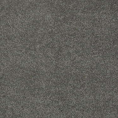 Invitation Only Ii Residential Carpet by Shaw Floors in the color Shark Fin. Sample of grays carpet pattern and texture.