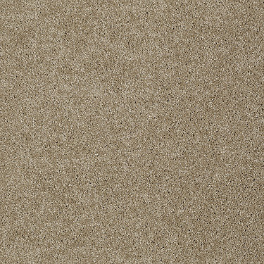 Invitation Only Ii Residential Carpet by Shaw Floors in the color Honey. Sample of oranges carpet pattern and texture.