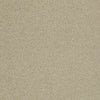 Invitation Only Ii Residential Carpet by Shaw Floors in the color Burlap. Sample of browns carpet pattern and texture.