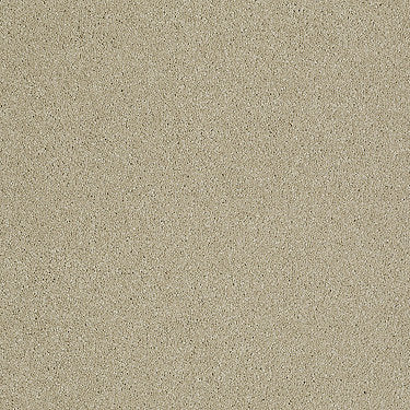 Invitation Only Ii Residential Carpet by Shaw Floors in the color Burlap. Sample of browns carpet pattern and texture.