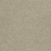 Invitation Only Ii Residential Carpet by Shaw Floors in the color Straw Hat. Sample of browns carpet pattern and texture.