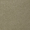 Invitation Only Ii Residential Carpet by Shaw Floors in the color Tree Bark. Sample of browns carpet pattern and texture.