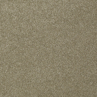 Invitation Only Ii Residential Carpet by Shaw Floors in the color Tree Bark. Sample of browns carpet pattern and texture.