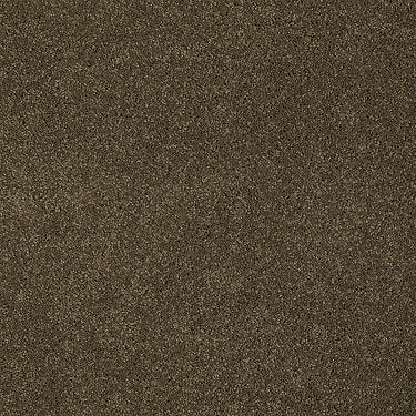 Invitation Only Ii Residential Carpet by Shaw Floors in the color Acorn. Sample of browns carpet pattern and texture.