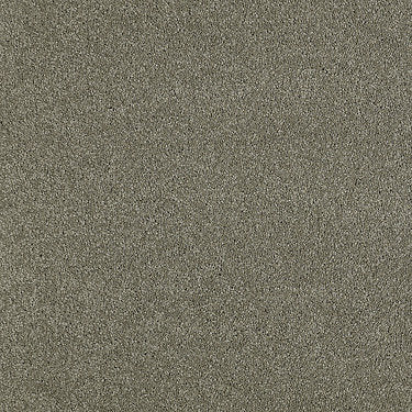 Invitation Only Ii Residential Carpet by Shaw Floors in the color Belt Buckle. Sample of browns carpet pattern and texture.