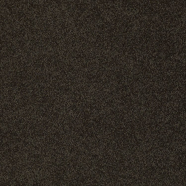 Invitation Only Ii Residential Carpet by Shaw Floors in the color Chocolate Chip. Sample of browns carpet pattern and texture.