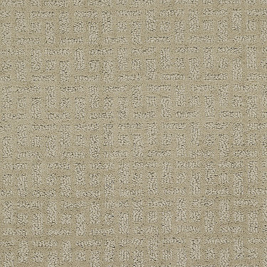 Just Gorgeous Residential Carpet by Shaw Floors in the color Burlap. Sample of browns carpet pattern and texture.