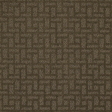 Just Gorgeous Residential Carpet by Shaw Floors in the color Acorn. Sample of browns carpet pattern and texture.