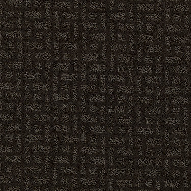 Just Gorgeous Residential Carpet by Shaw Floors in the color Chocolate Chip. Sample of browns carpet pattern and texture.