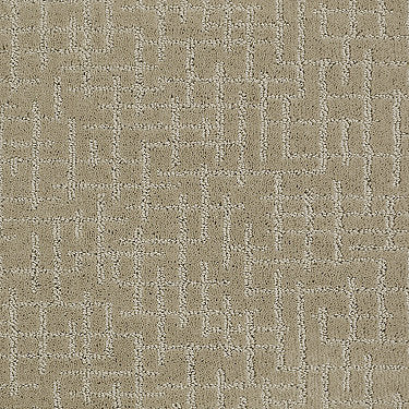 Simply Beautiful Residential Carpet by Shaw Floors in the color Straw Hat. Sample of browns carpet pattern and texture.