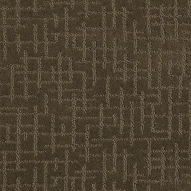 Simply Beautiful Residential Carpet by Shaw Floors in the color Acorn. Sample of browns carpet pattern and texture.