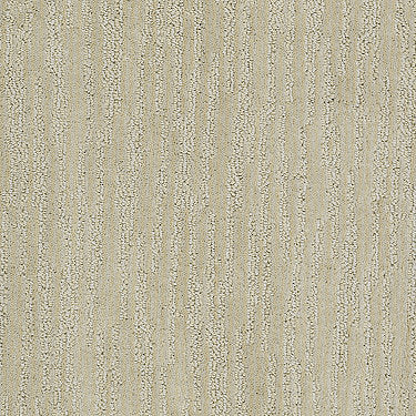 Very Attractive Residential Carpet by Shaw Floors in the color Corn Silk. Sample of beiges carpet pattern and texture.