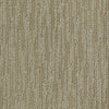 Very Attractive Residential Carpet by Shaw Floors in the color Caramel Cream. Sample of beiges carpet pattern and texture.