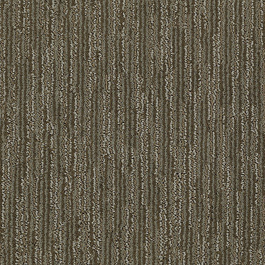 Very Attractive Residential Carpet by Shaw Floors in the color Rich Soil. Sample of browns carpet pattern and texture.