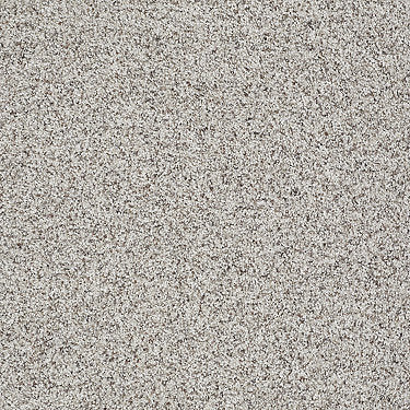 Like No Other Iii Residential Carpet by Shaw Floors in the color Art District. Sample of beiges carpet pattern and texture.
