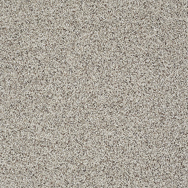 Like No Other Iii Residential Carpet by Shaw Floors in the color Sun Bleached. Sample of beiges carpet pattern and texture.