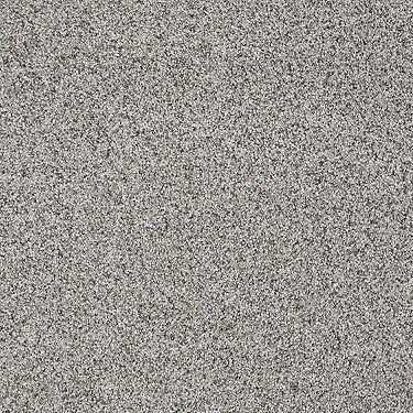 Like No Other Iii Residential Carpet by Shaw Floors in the color Down Town. Sample of beiges carpet pattern and texture.