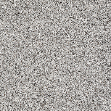 Like No Other Iii Residential Carpet by Shaw Floors in the color Travertine. Sample of beiges carpet pattern and texture.