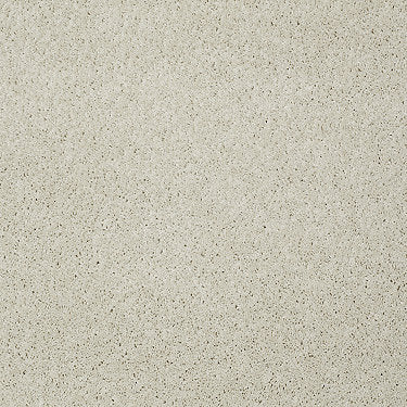 My Choice Iii Residential Carpet by Shaw Floors in the color China Pearl. Sample of beiges carpet pattern and texture.