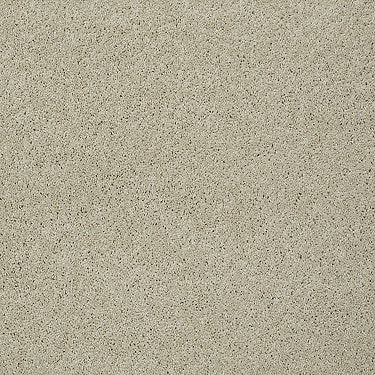 My Choice Iii Residential Carpet by Shaw Floors in the color French Linen. Sample of beiges carpet pattern and texture.