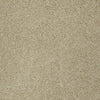 My Choice Iii Residential Carpet by Shaw Floors in the color Mesa. Sample of beiges carpet pattern and texture.