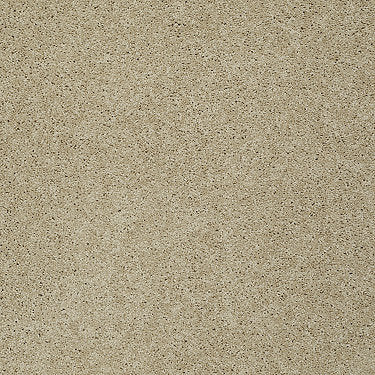 My Choice Iii Residential Carpet by Shaw Floors in the color Mesa. Sample of beiges carpet pattern and texture.